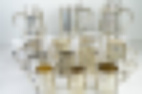 DSCN6571