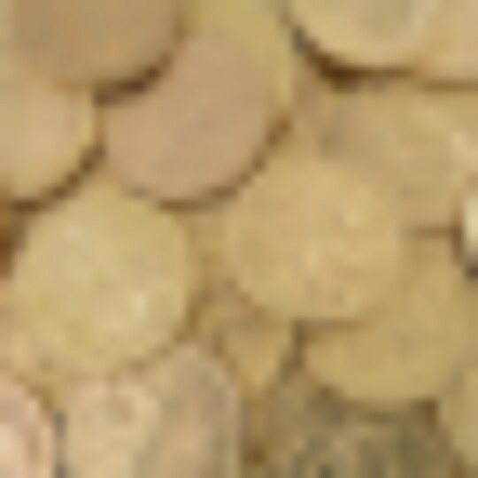 DSCN8247