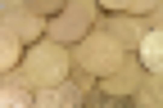 DSCN8247